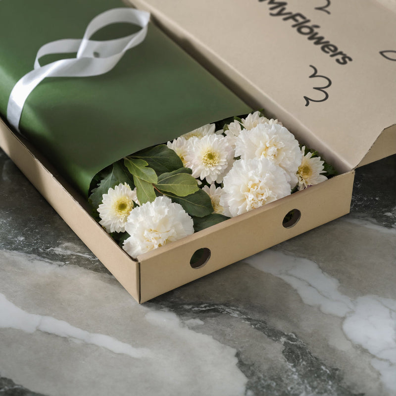 Megapolis Letterbox #3