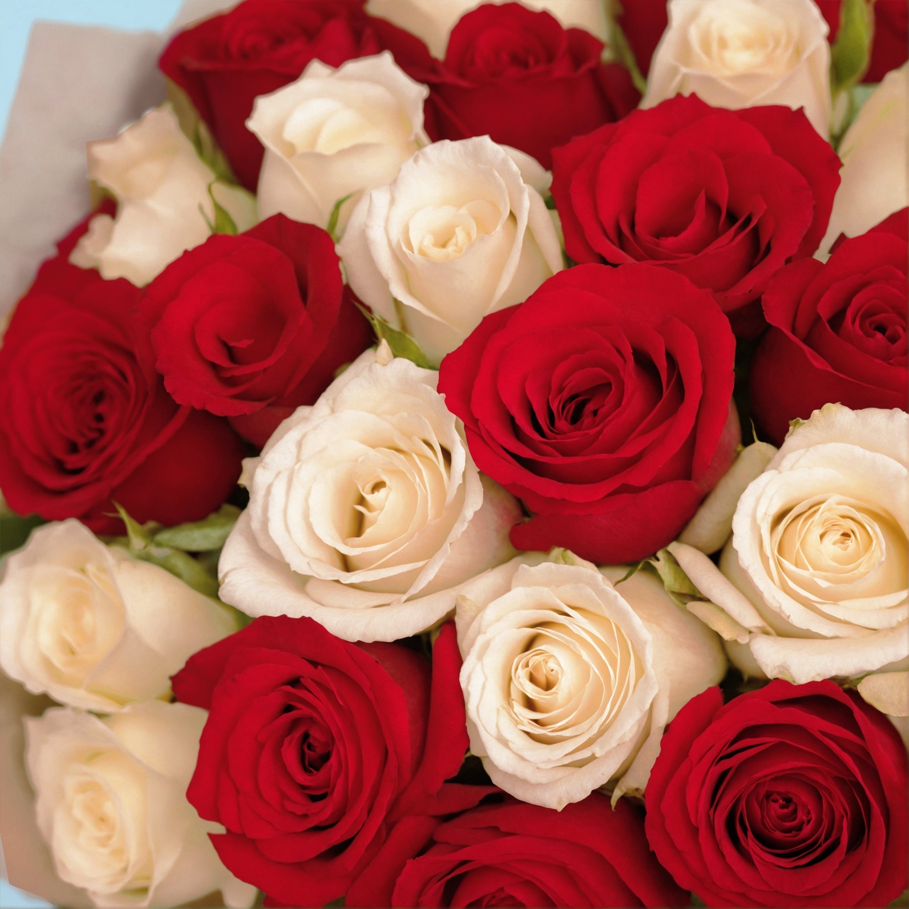 Bouquet of 30 White and Red roses #8