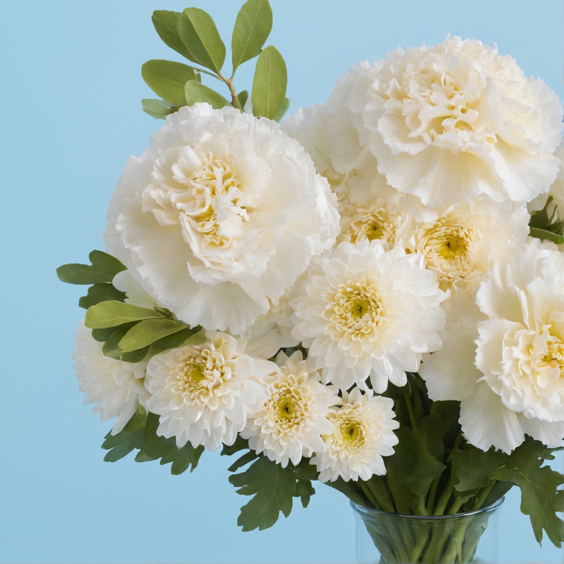 Megapolis Letterbox #2