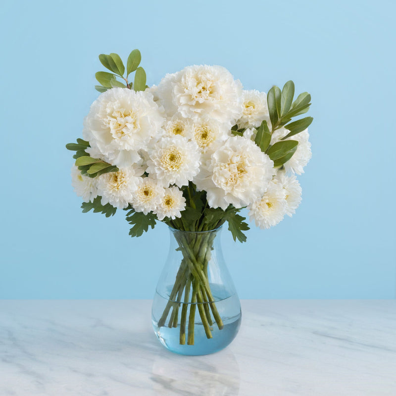 Megapolis Letterbox #1