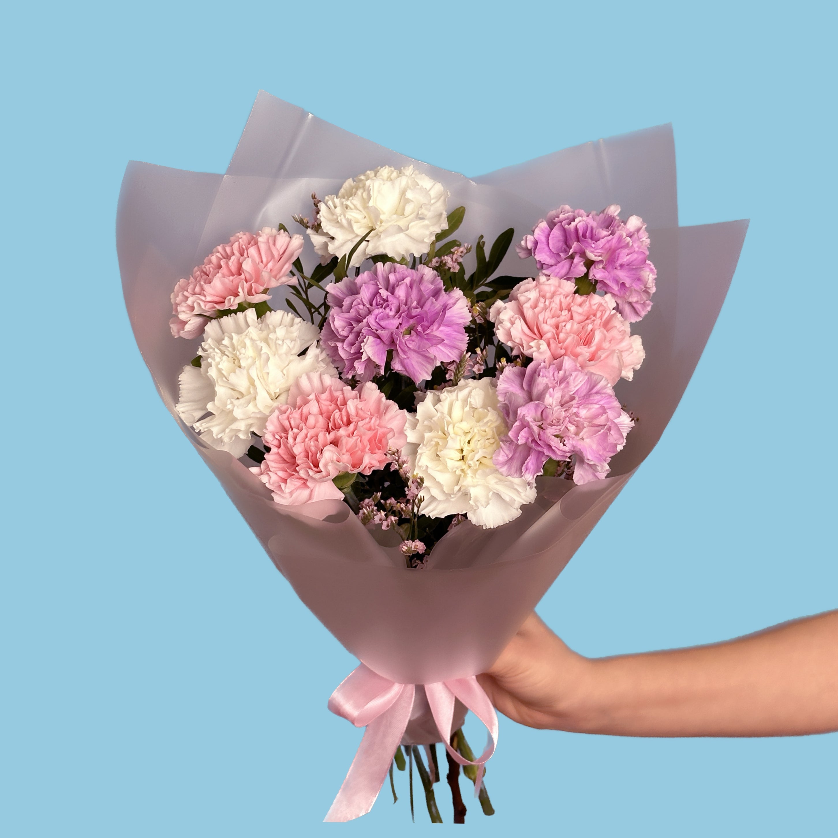 Tender Mixed Carnations #2