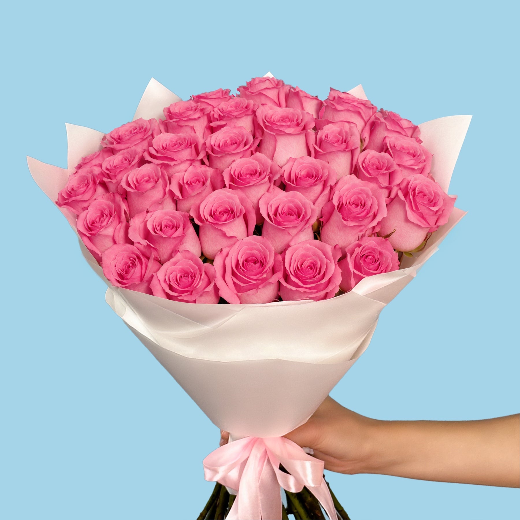 35 Premium Pink Roses #3