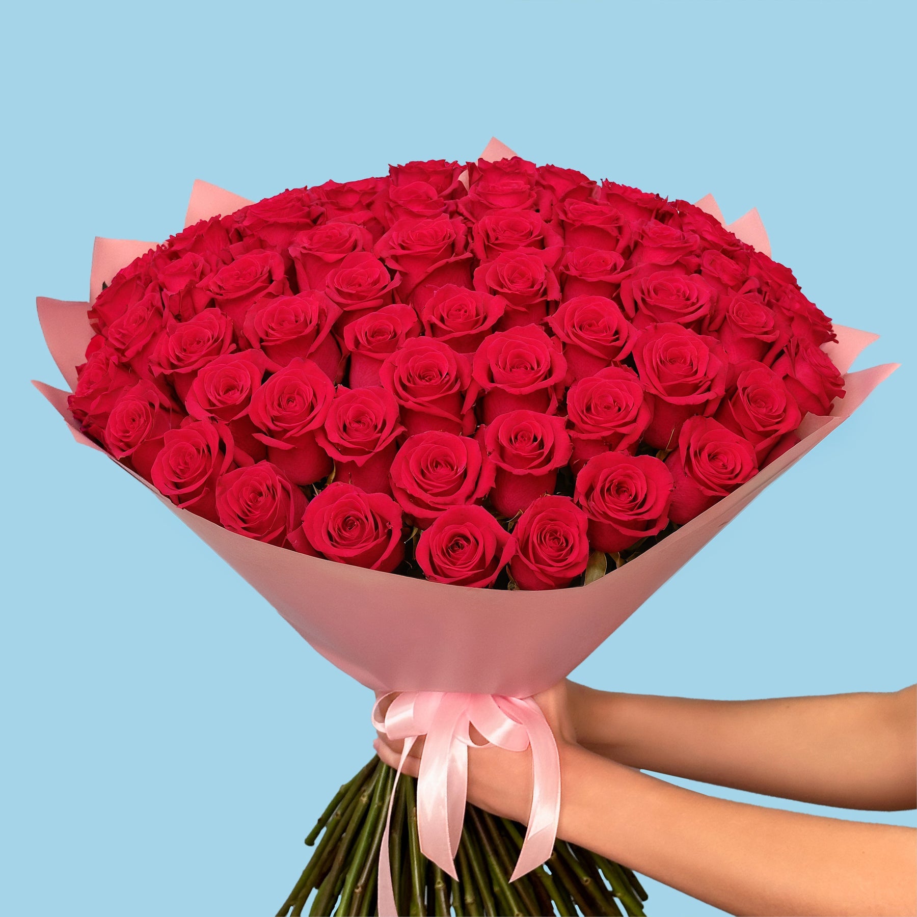 100 Premium Hot Pink Roses #3