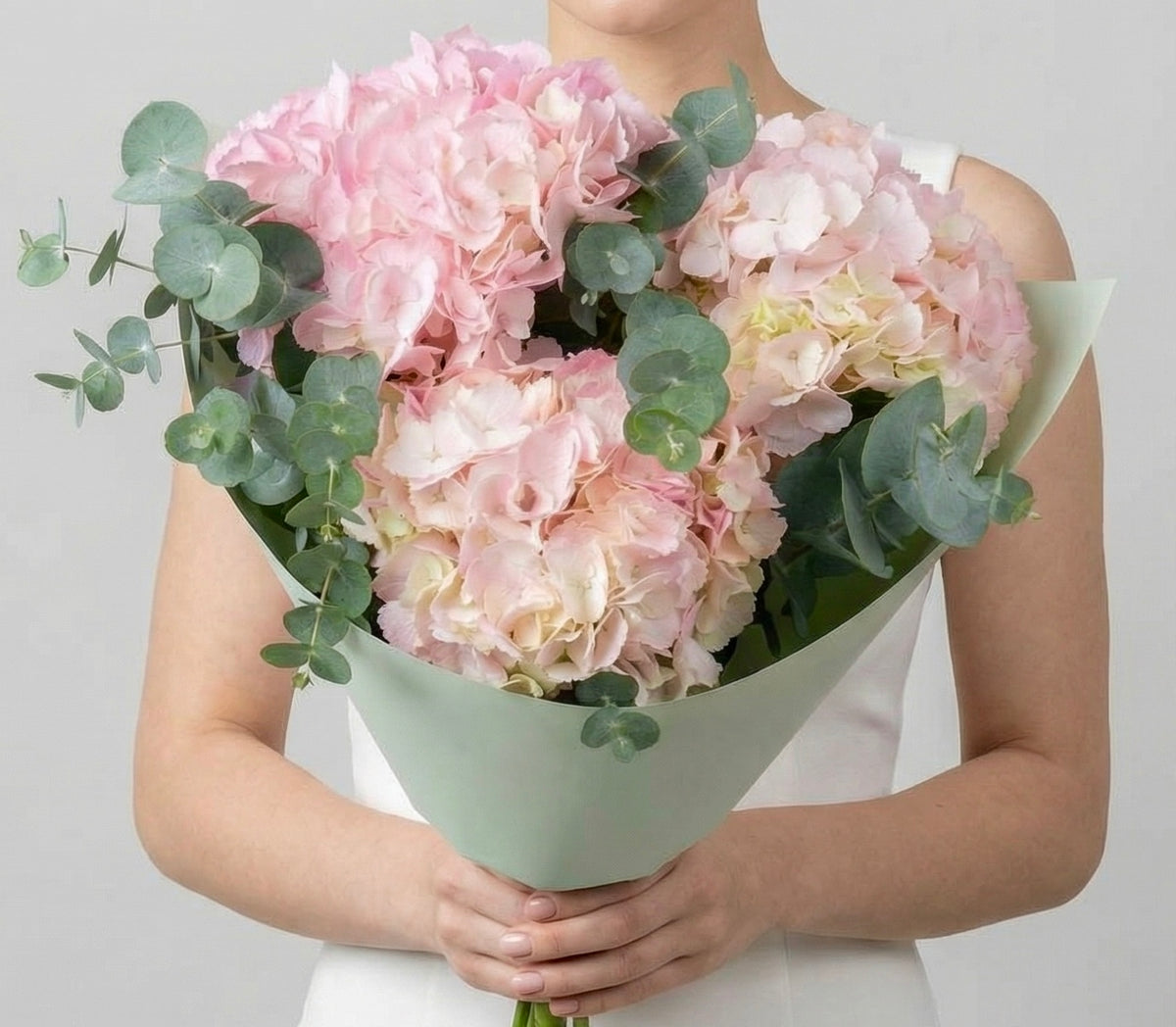 Royal Hydrangea