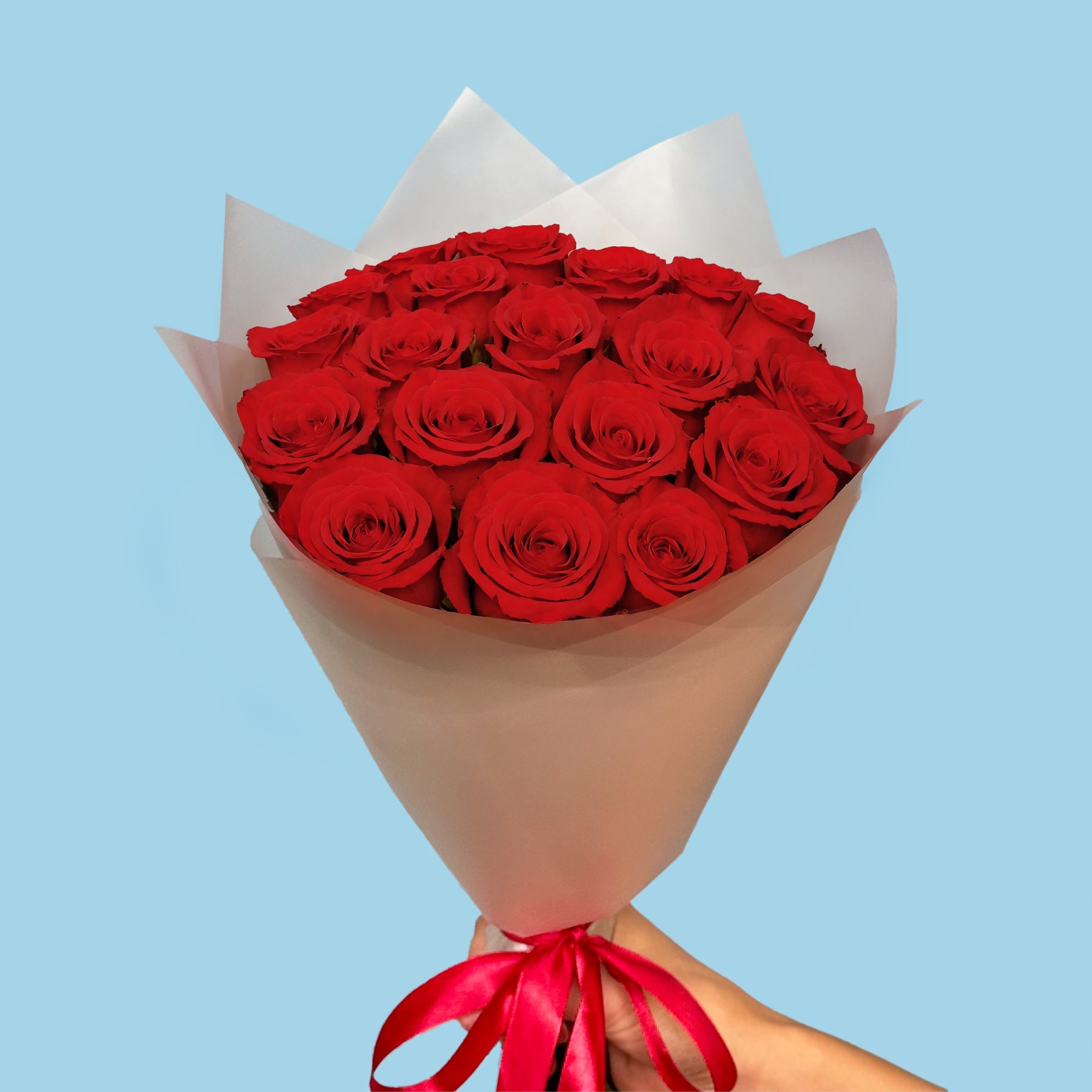 20 Premium Red Roses #3