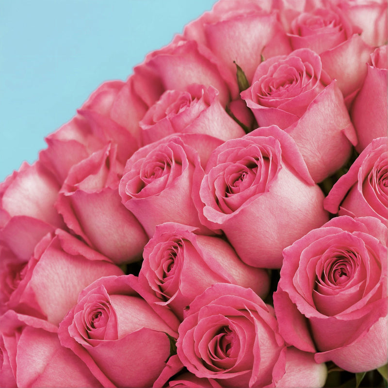 Bouquet of 100 Pink roses #8