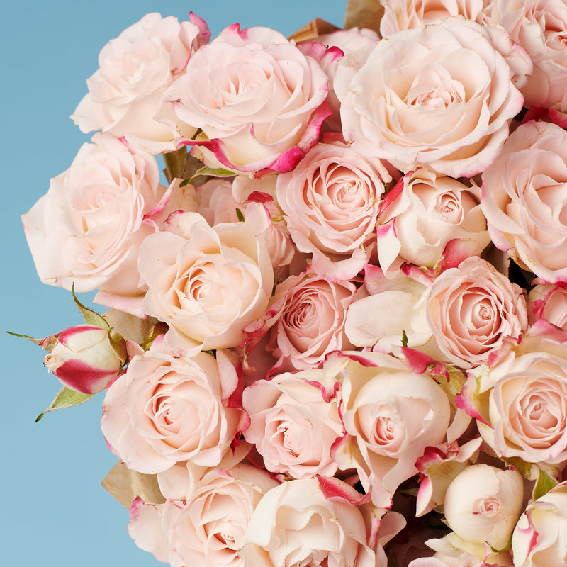 10 Spray Pink Roses #2
