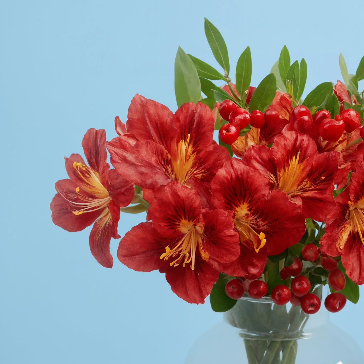 Red Composition - MyFlowers
