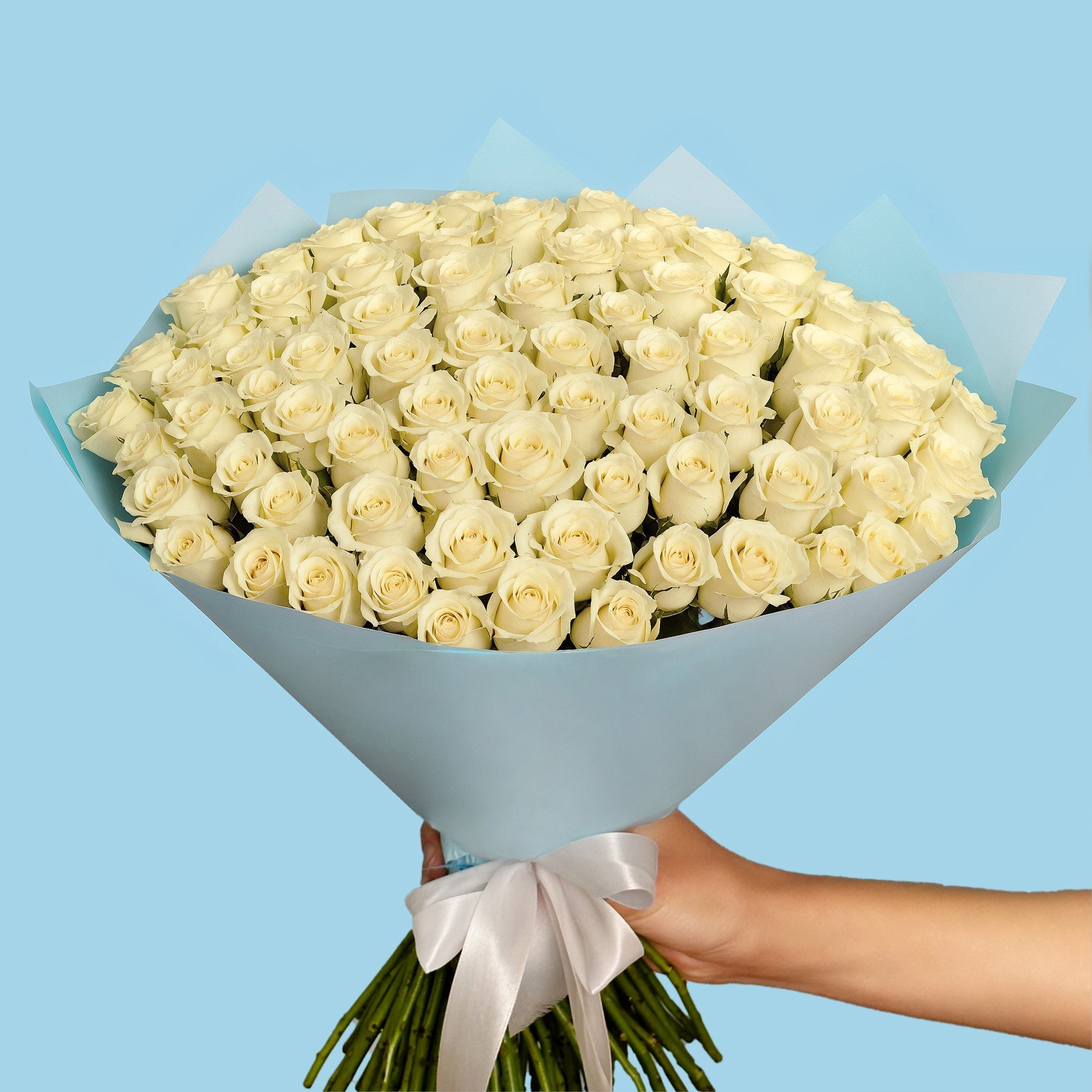 100 White Roses from Kenya #3