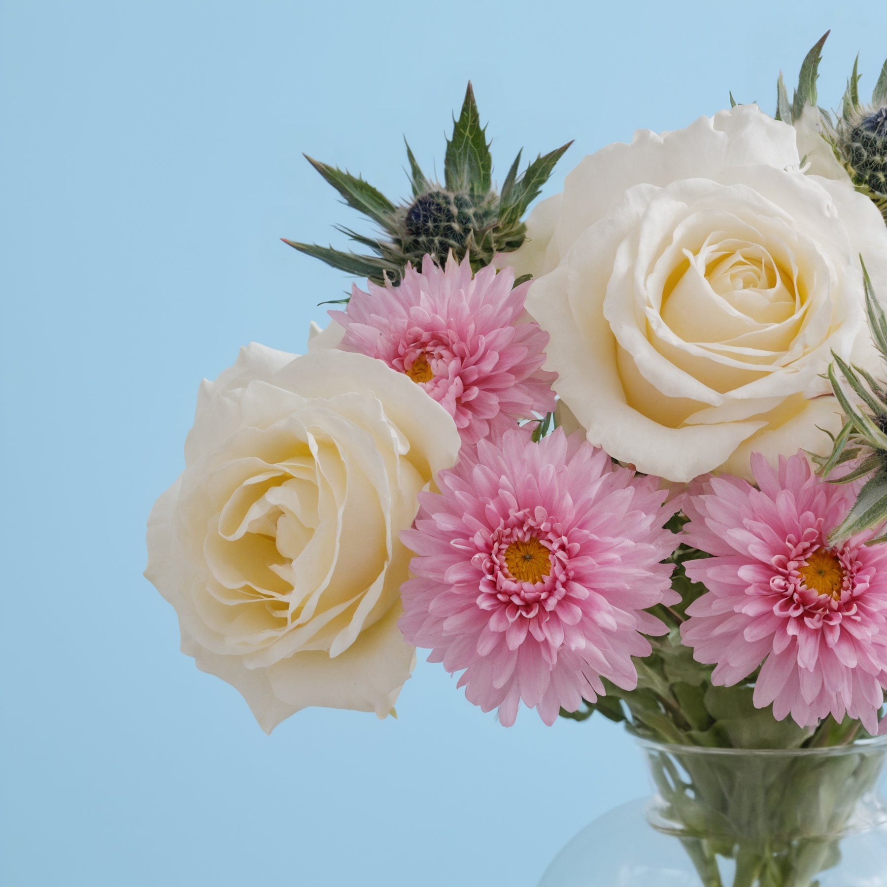 Towards The Dream #3