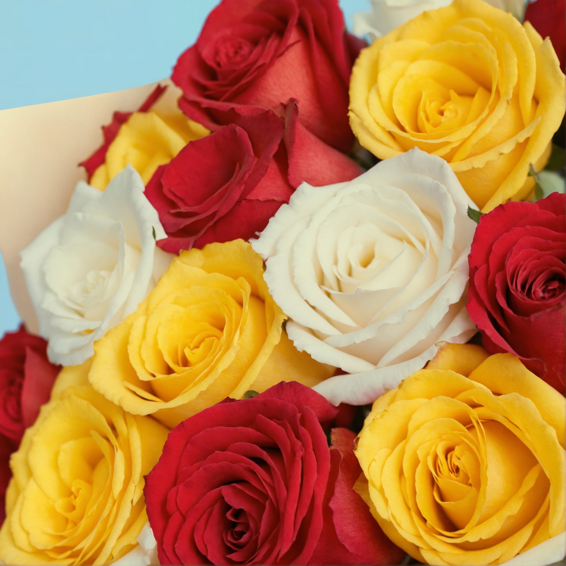 Bouquet of 50 Mix roses #8