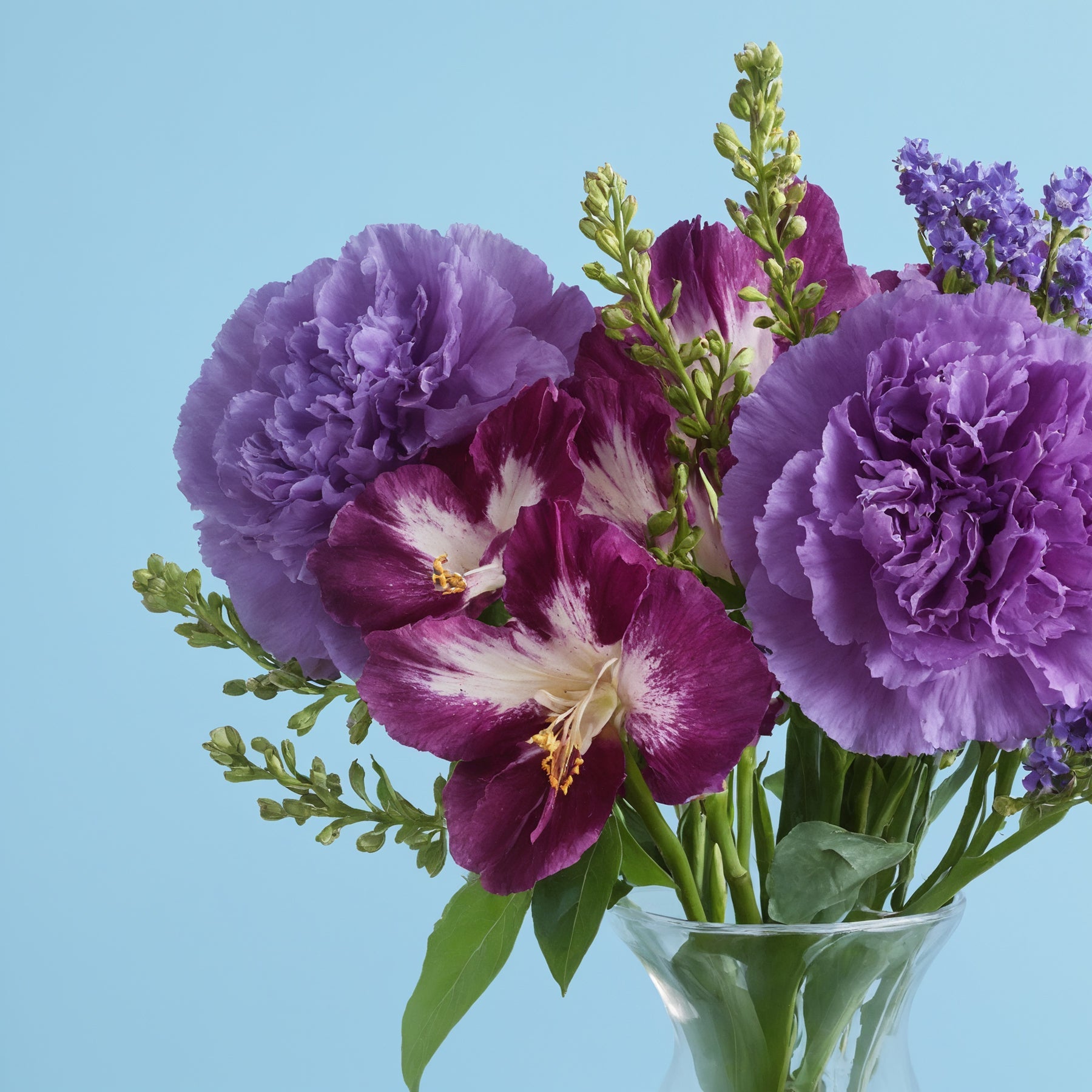 Purple Composition #3