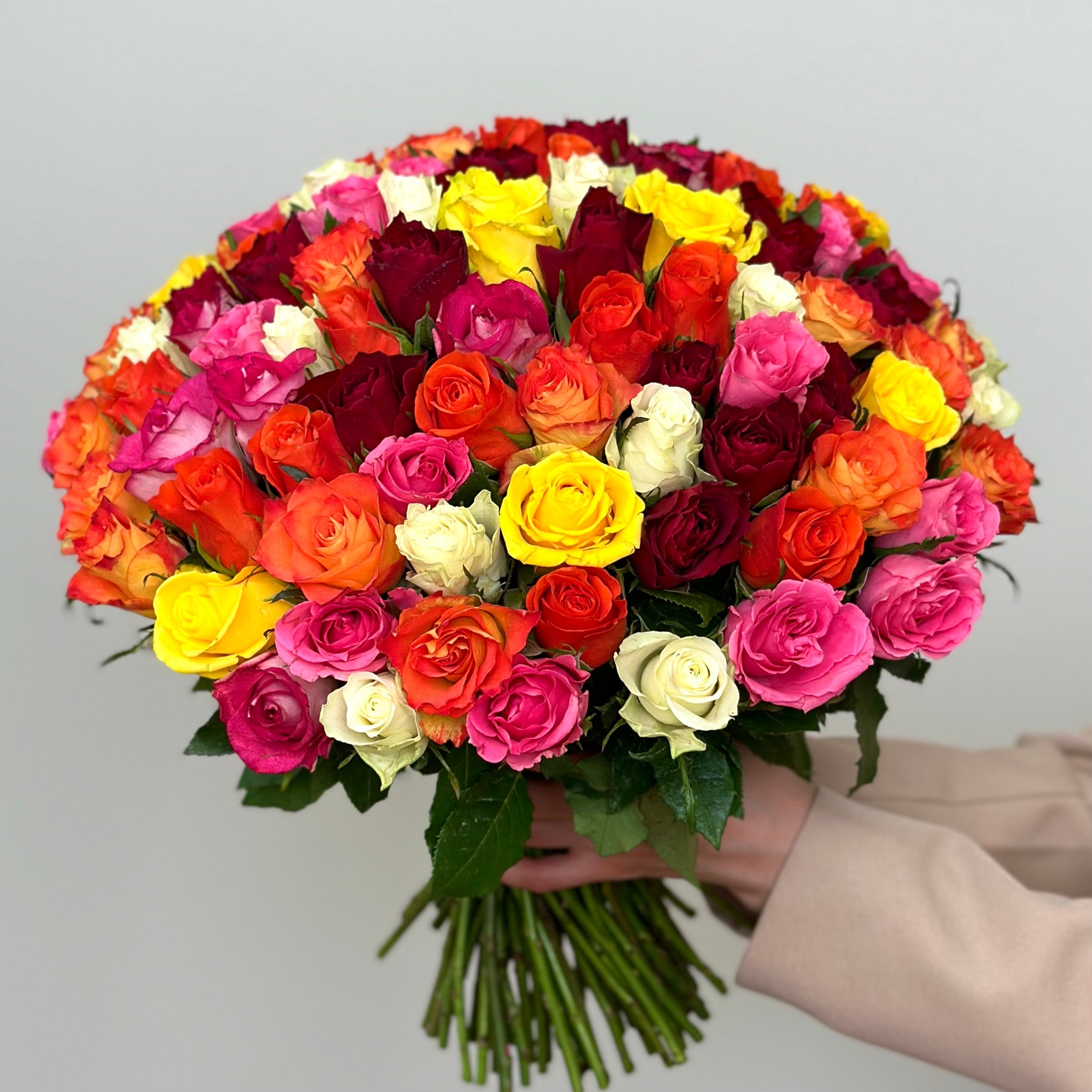 100 Mixed Roses 35cm #2