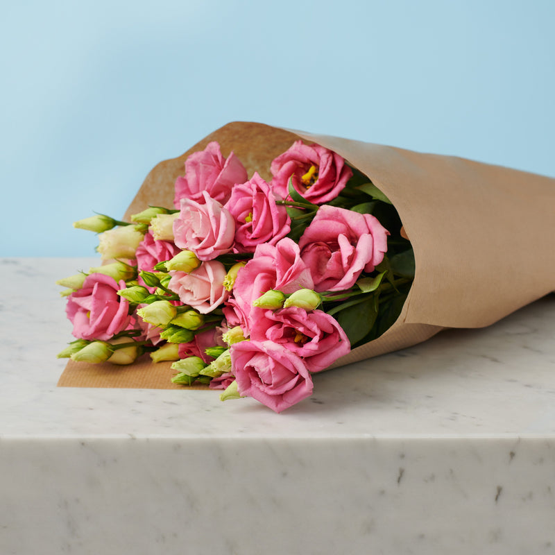 5 Pink Lisianthus #3