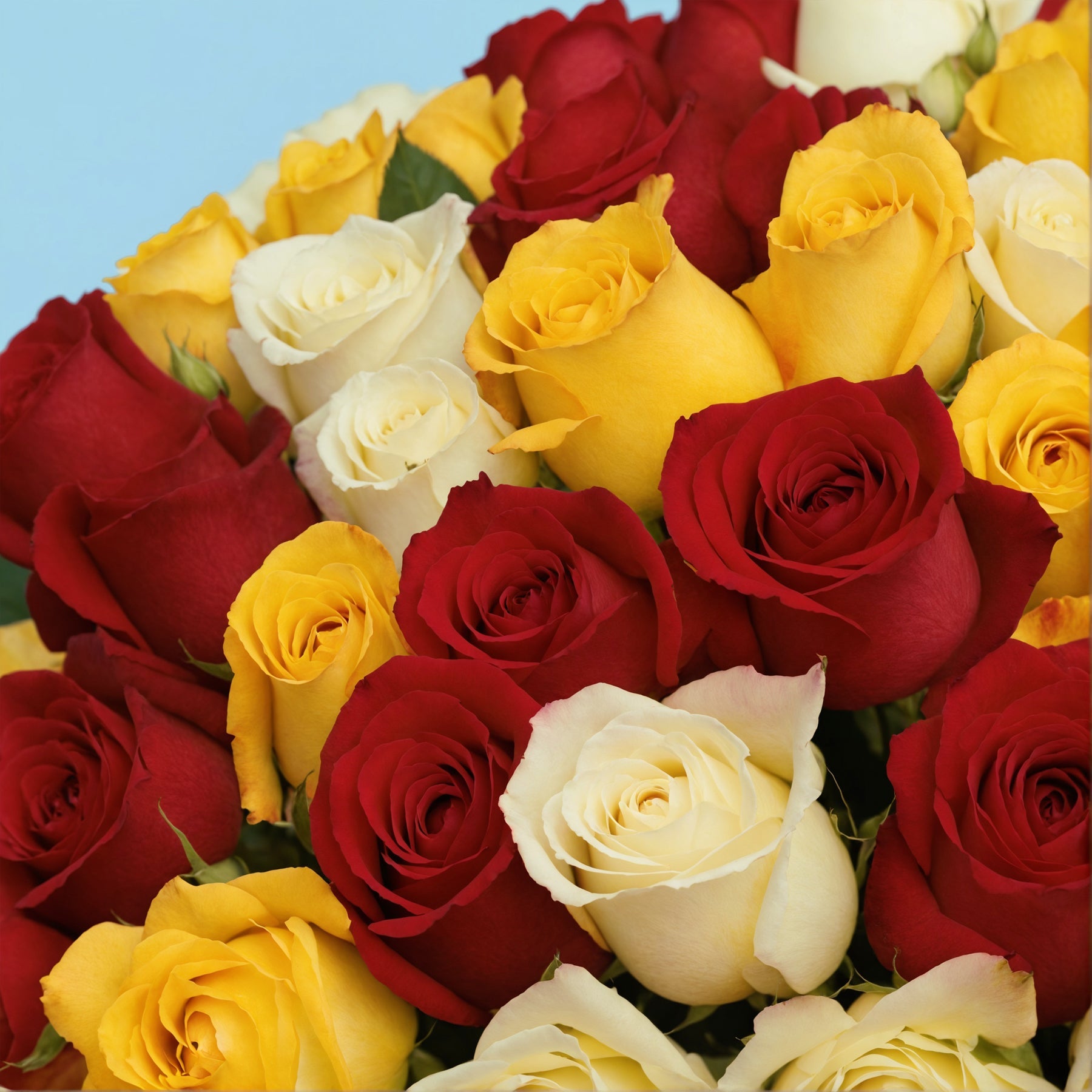 Bouquet of 100 Mix roses #4