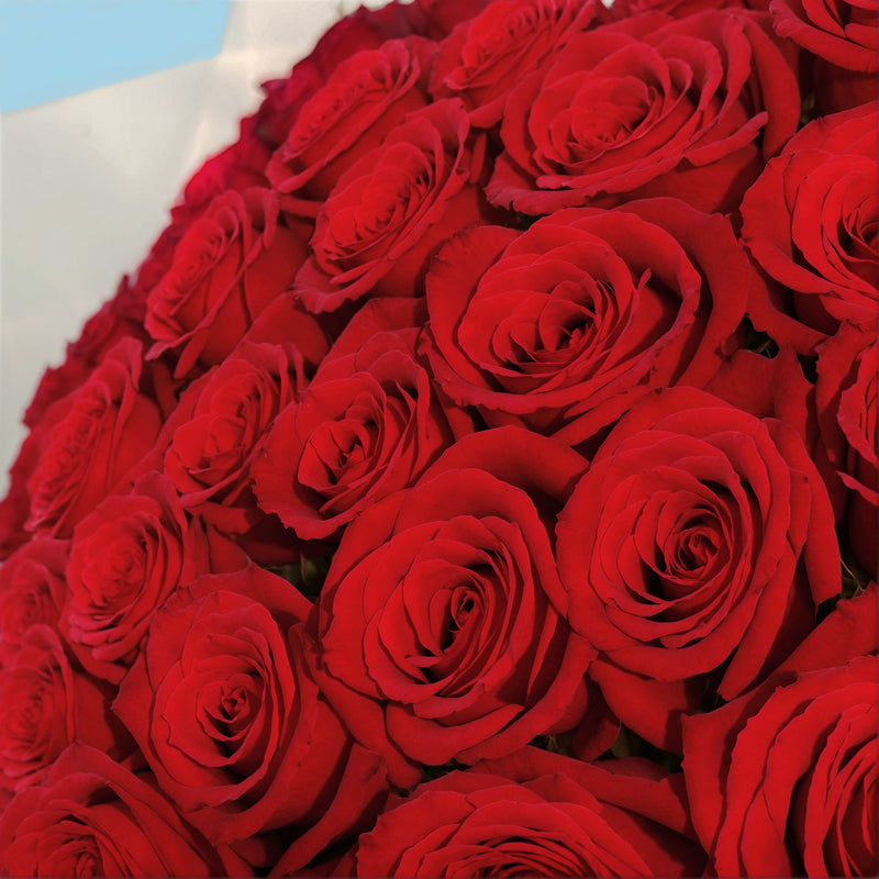 20 Premium Red Roses #4