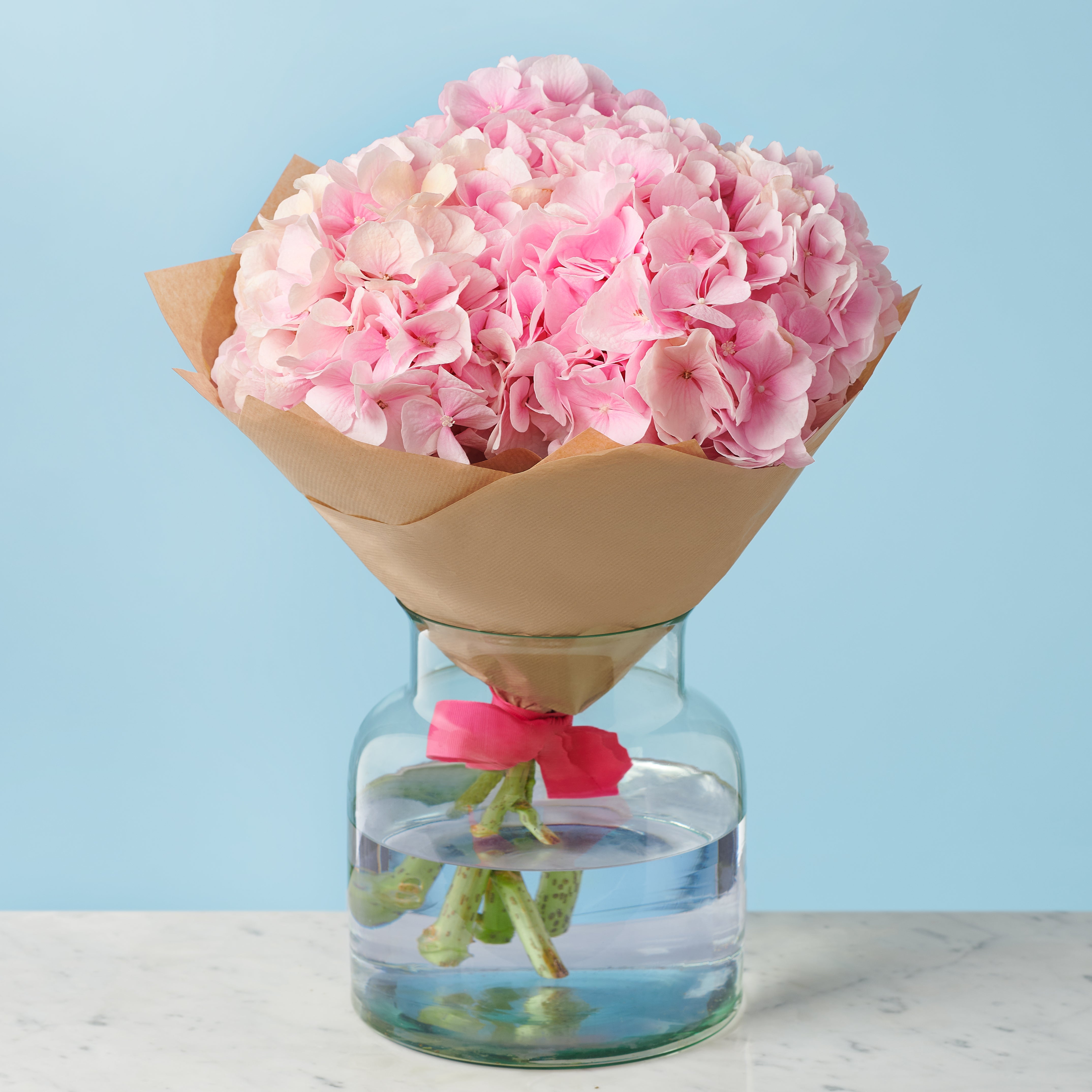 5 Pink Hydrangeas #2