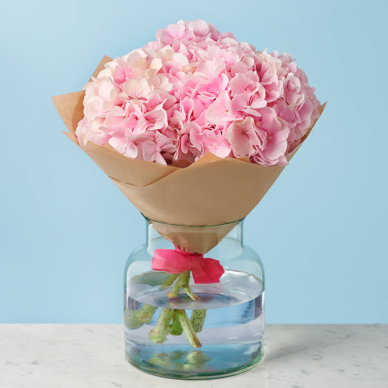 5 Pink Hydrangeas #2