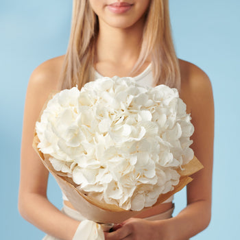 3 White Hydrangeas #1