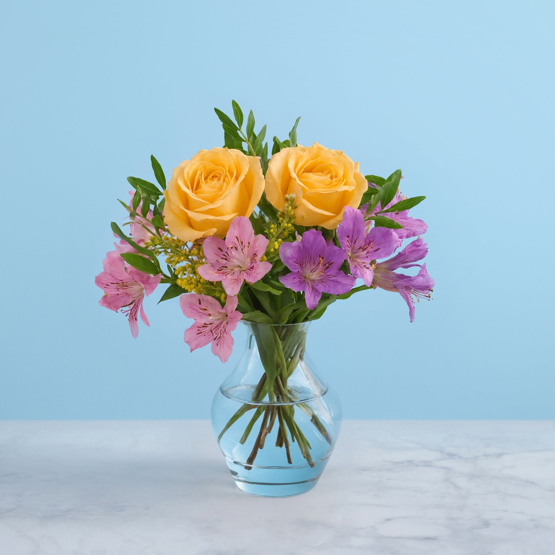 Garden Composition #1