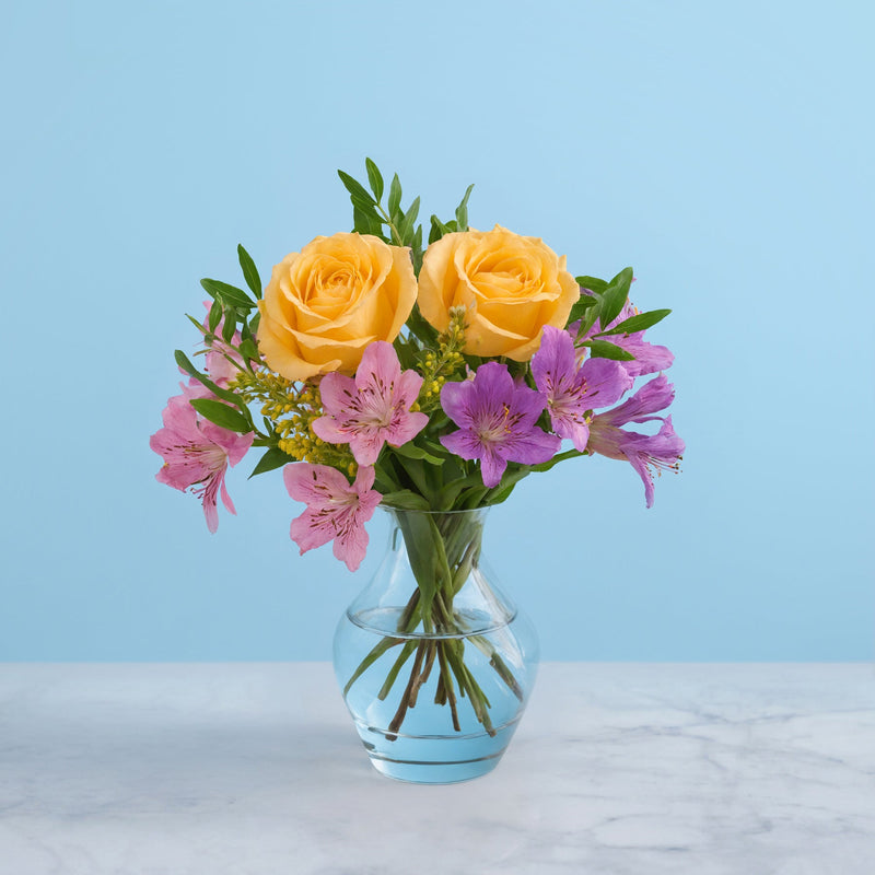 Garden Composition #1