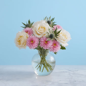 Towards The Dream #1