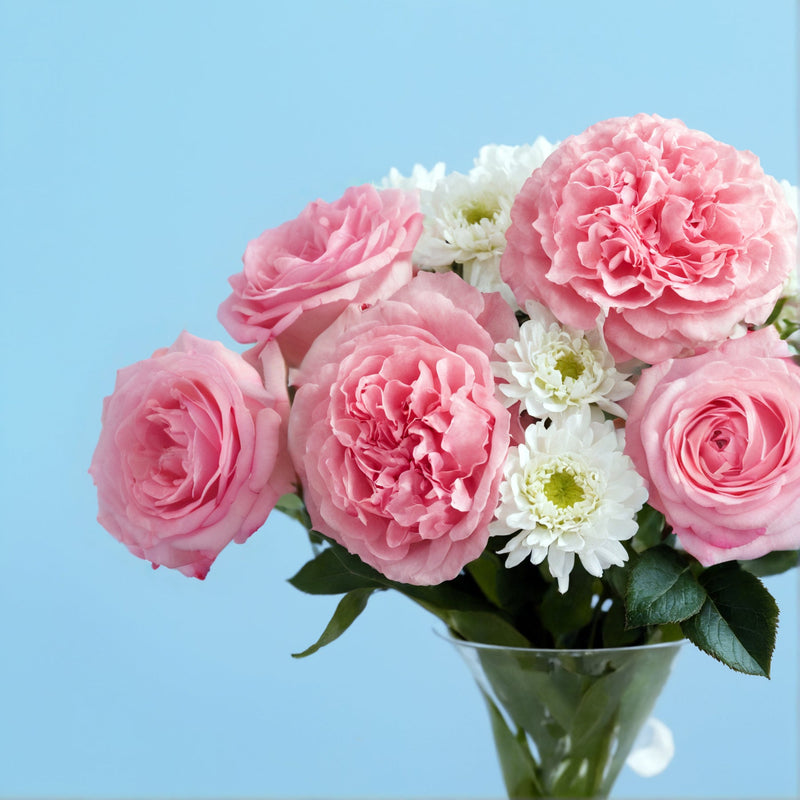 A Thousand Kisses #3