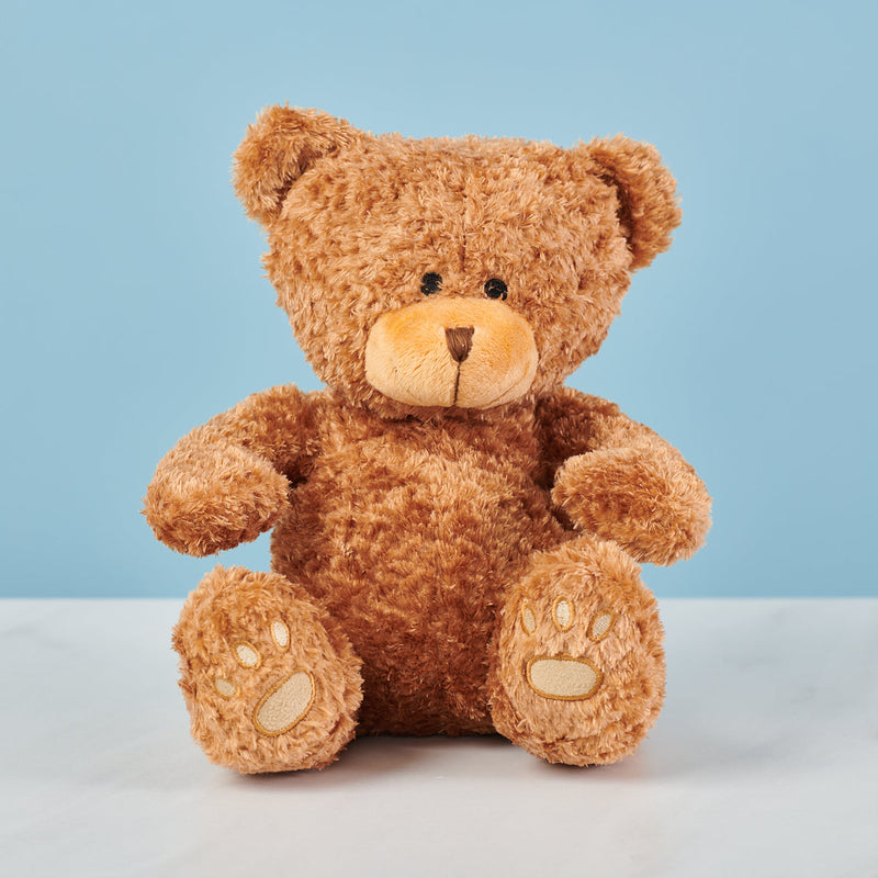 Teddy Bear 22cm #1