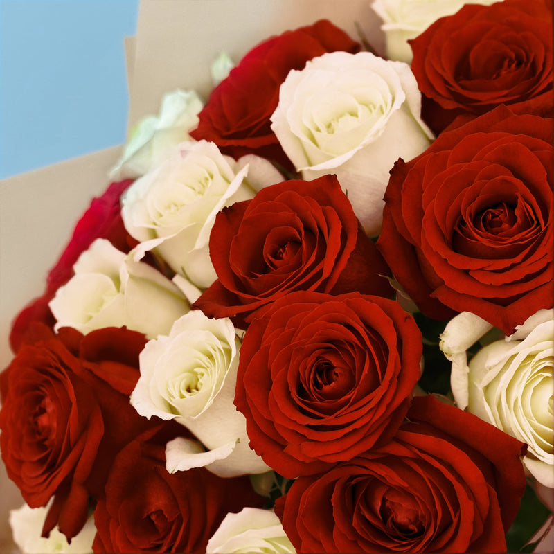 20 Premium White and Red Roses #4