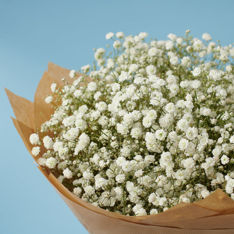 Hopeless Romantic #3