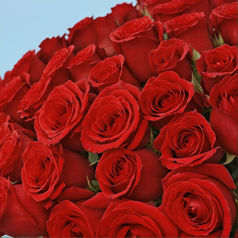 Bouquet of 100 Red roses #4