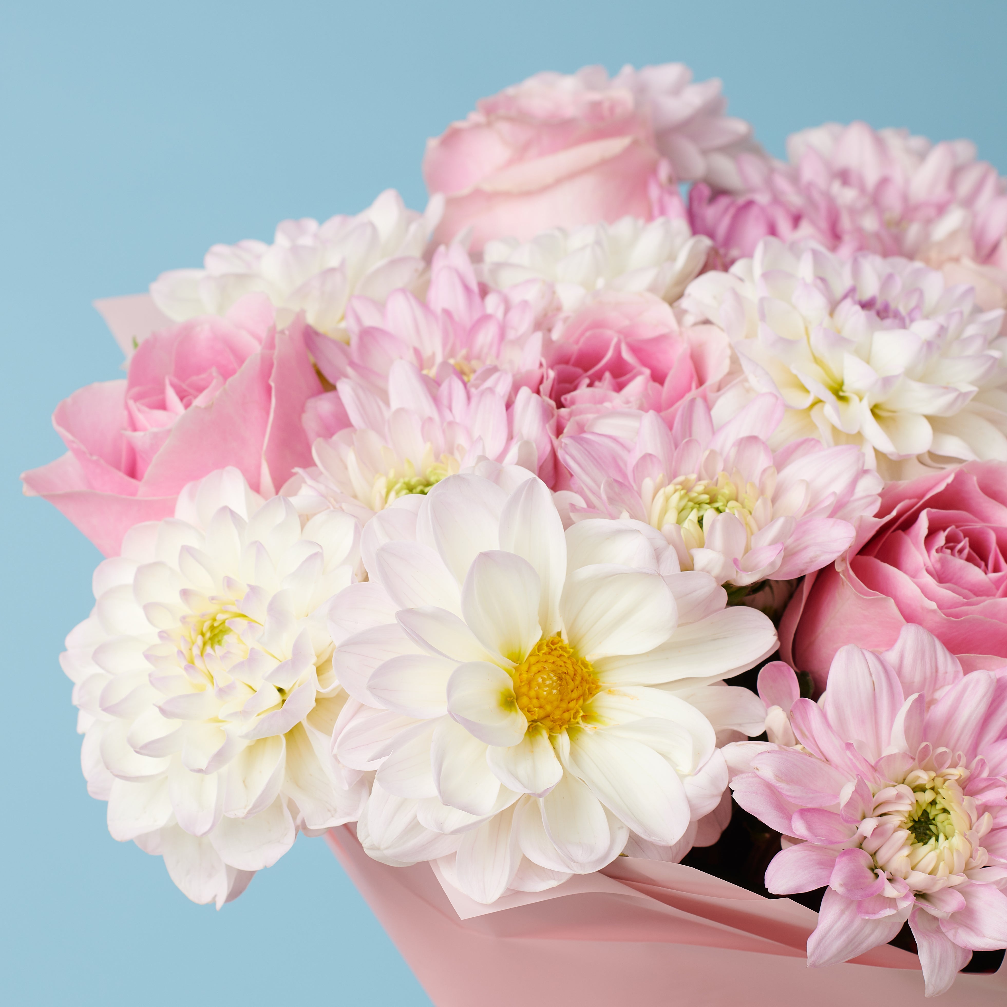 A World of Wonders #3