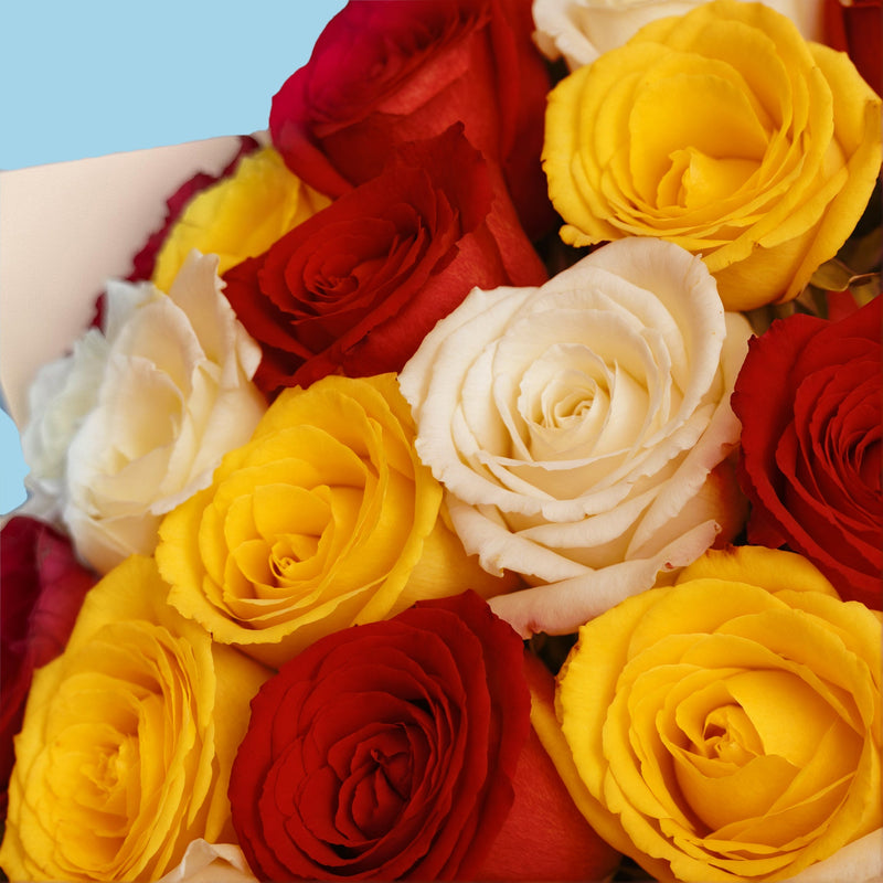 Bouquet of 20 Mix roses #8