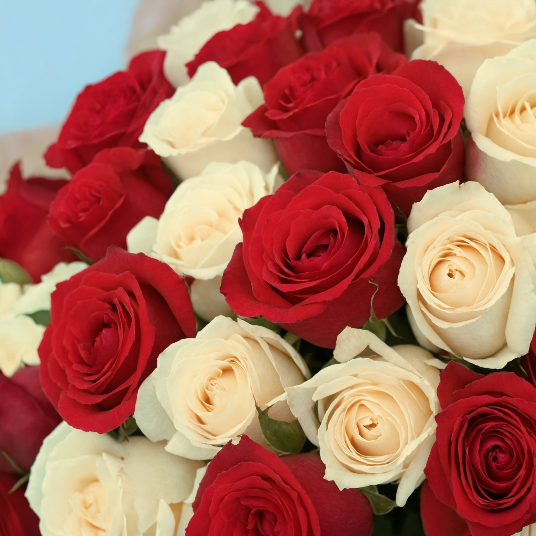 Bouquet of 50 White and Red roses #8