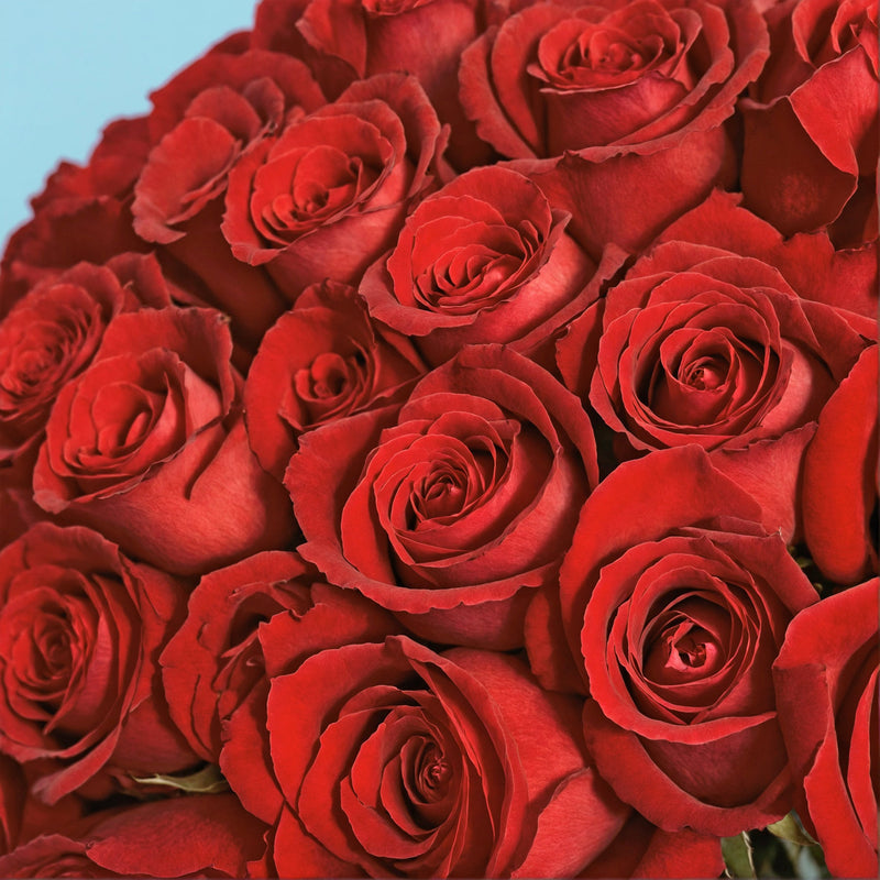 100 Premium Red Roses #4