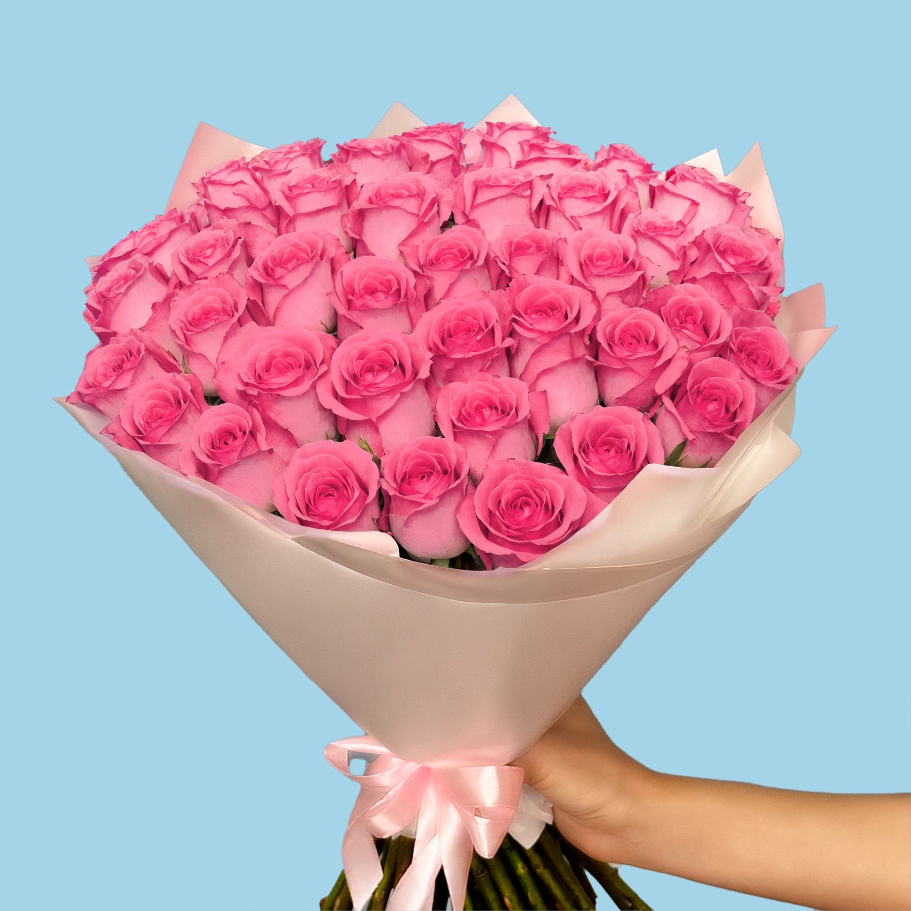 50 Premium Pink Roses #3