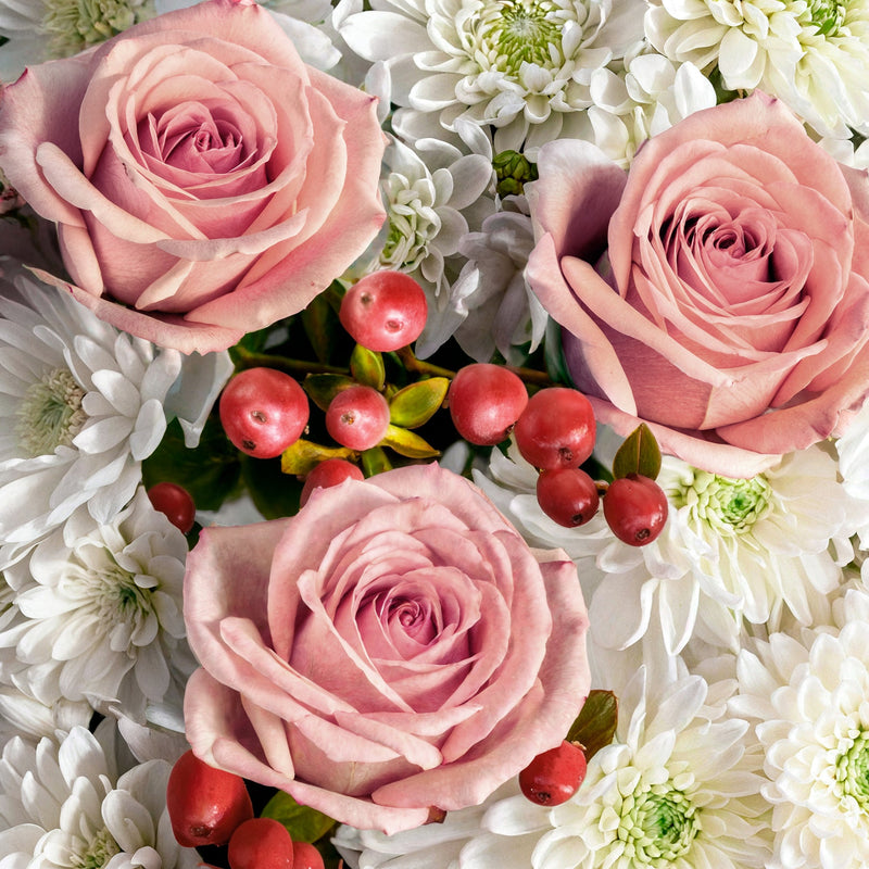 Letterbox of Love #2