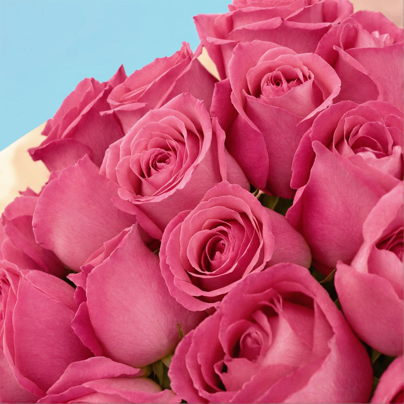 20 Pink Roses from Kenya #4