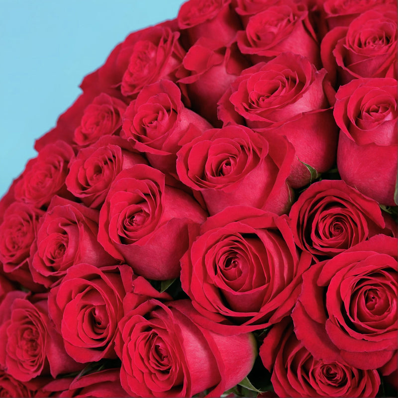 Bouquet of 100 Hot Pink roses #8