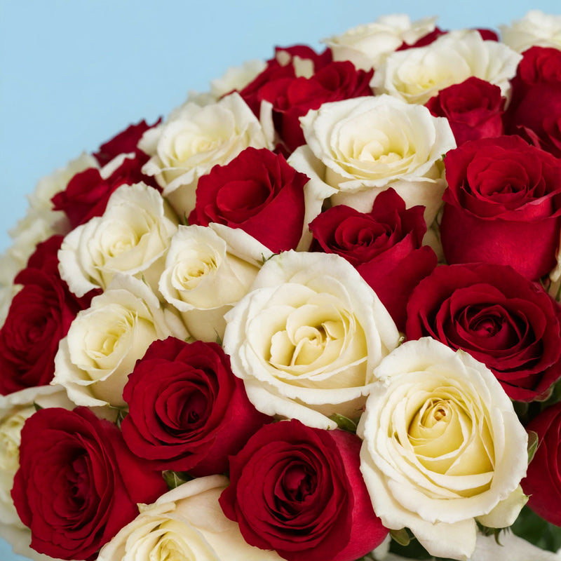100 Premium White and Red Roses #4