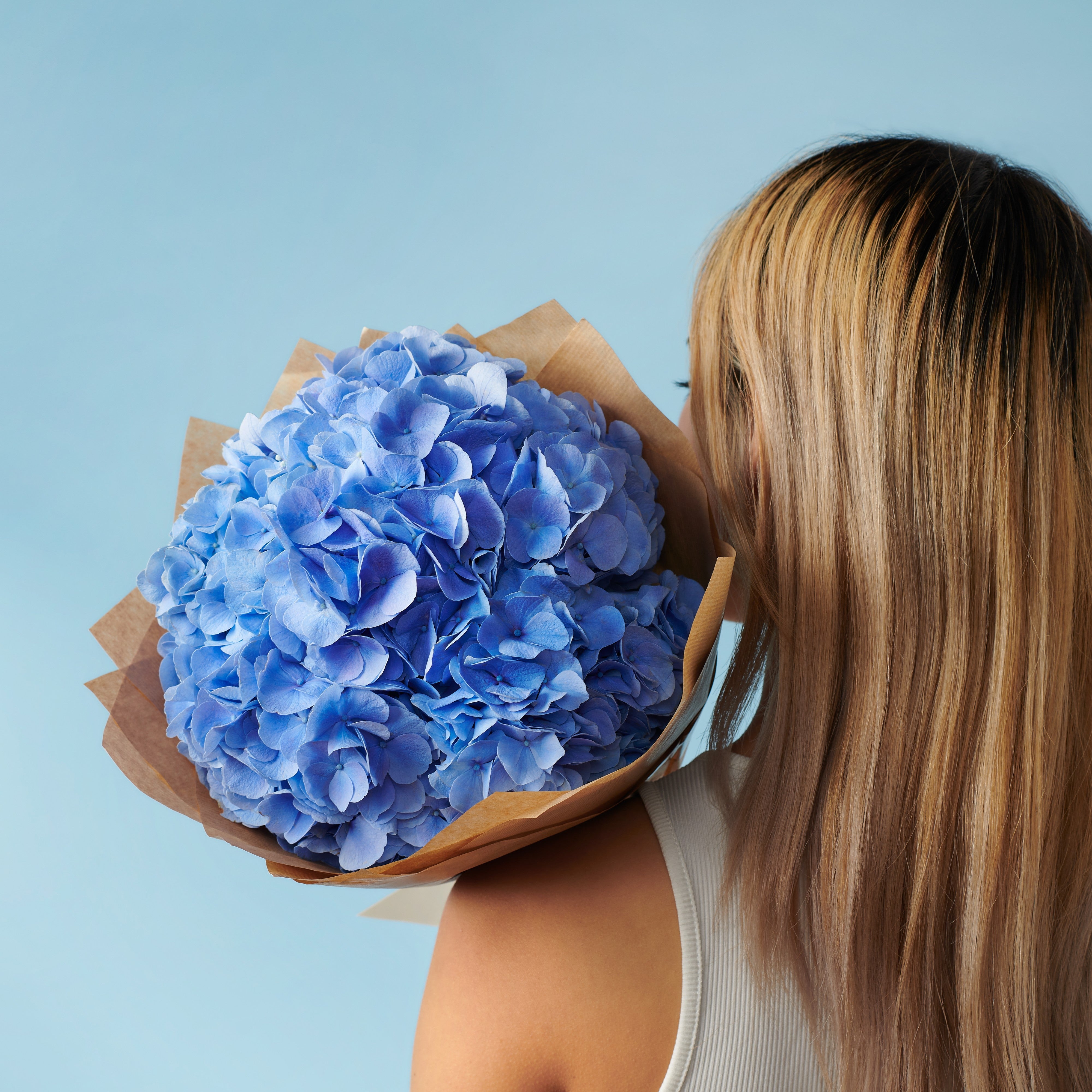 5 Blue Hydrangeas #4