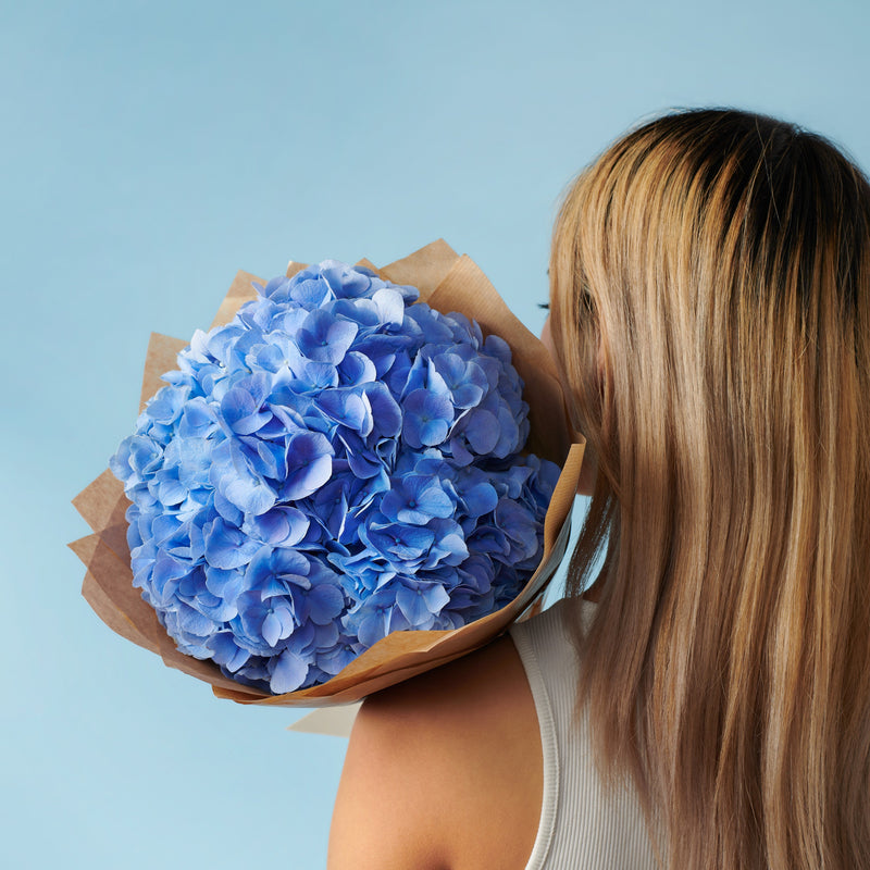 5 Blue Hydrangeas #4