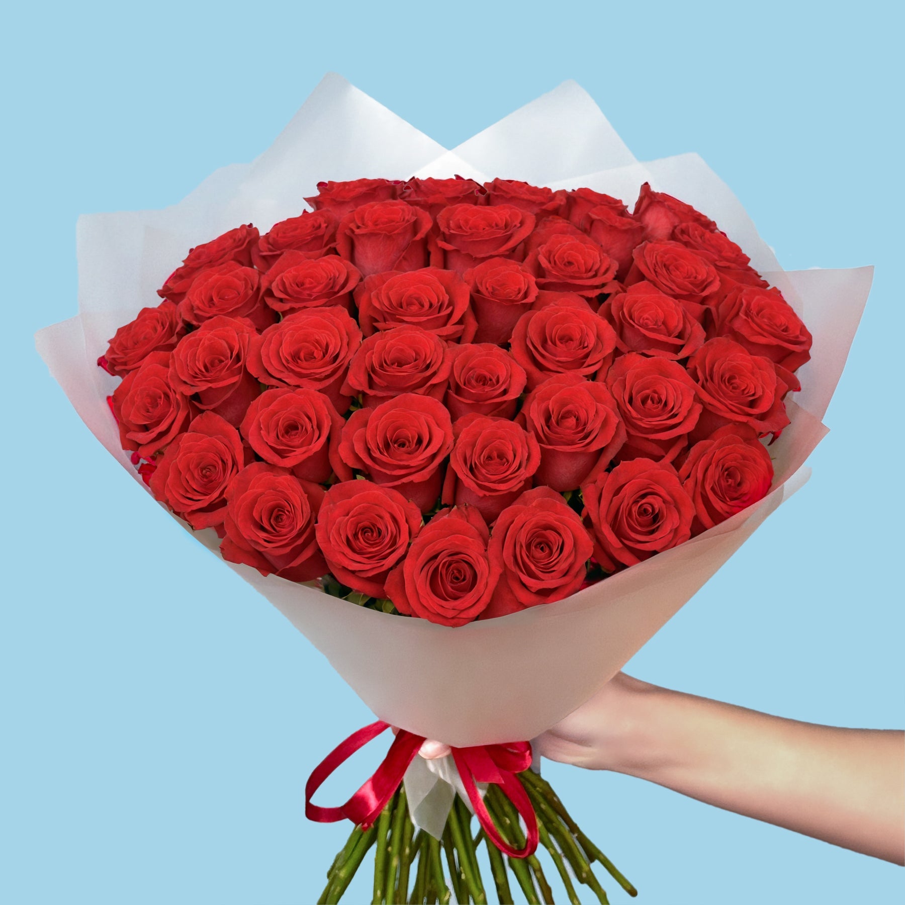 50 Premium Red Roses #3