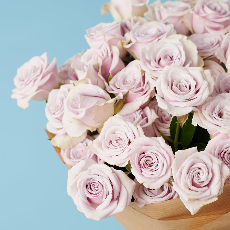 10 Spray Purple Roses #3