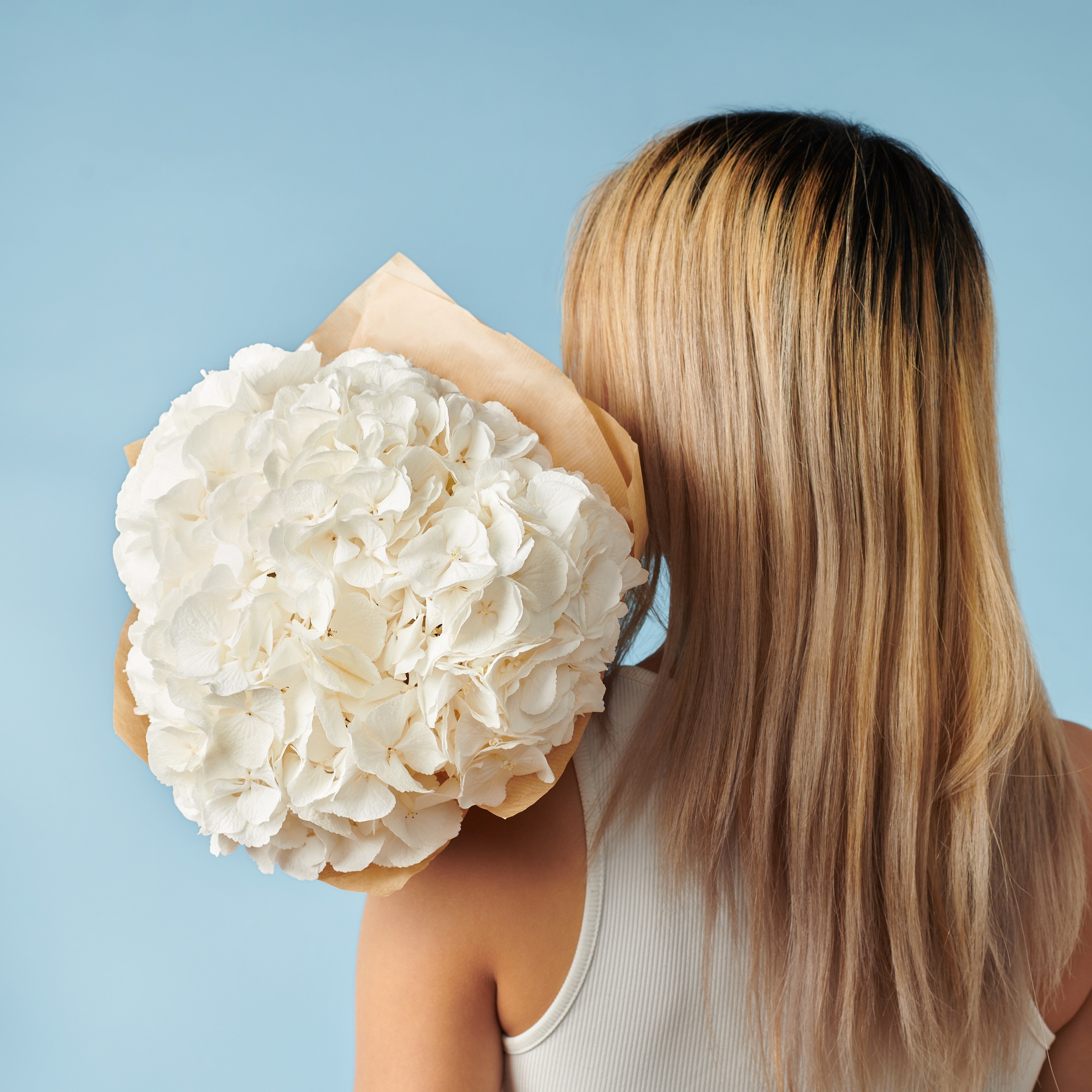 3 White Hydrangeas #4