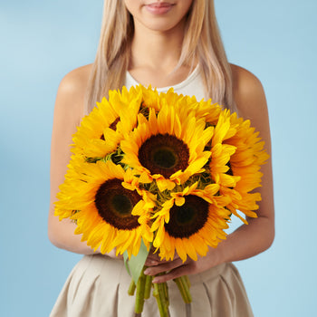 10 Sunflowers #1