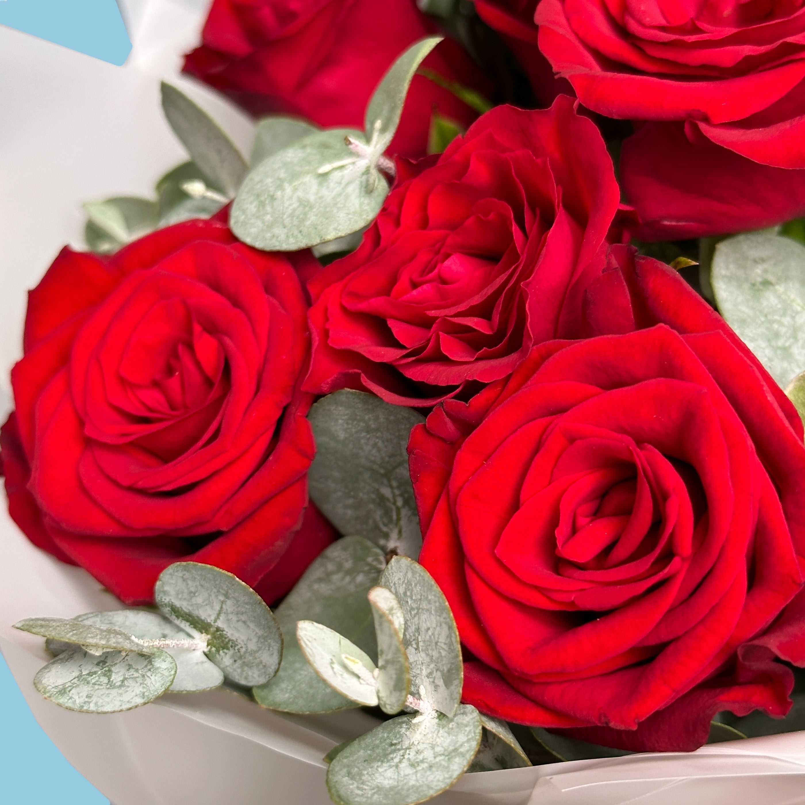 Red Roses With Eucaliptus #3