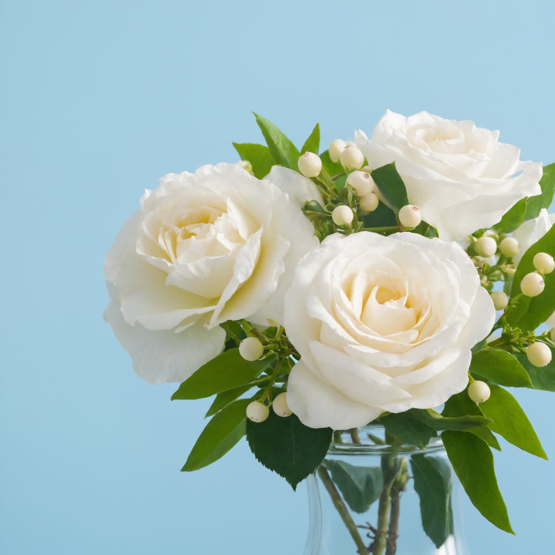 Powerful Memories #3