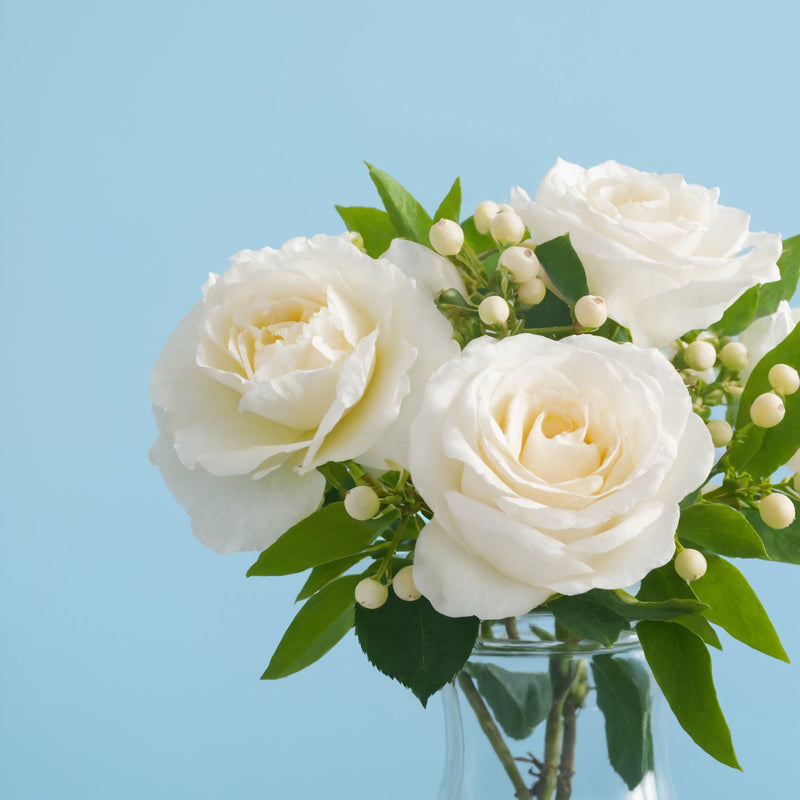 Powerful Memories #3