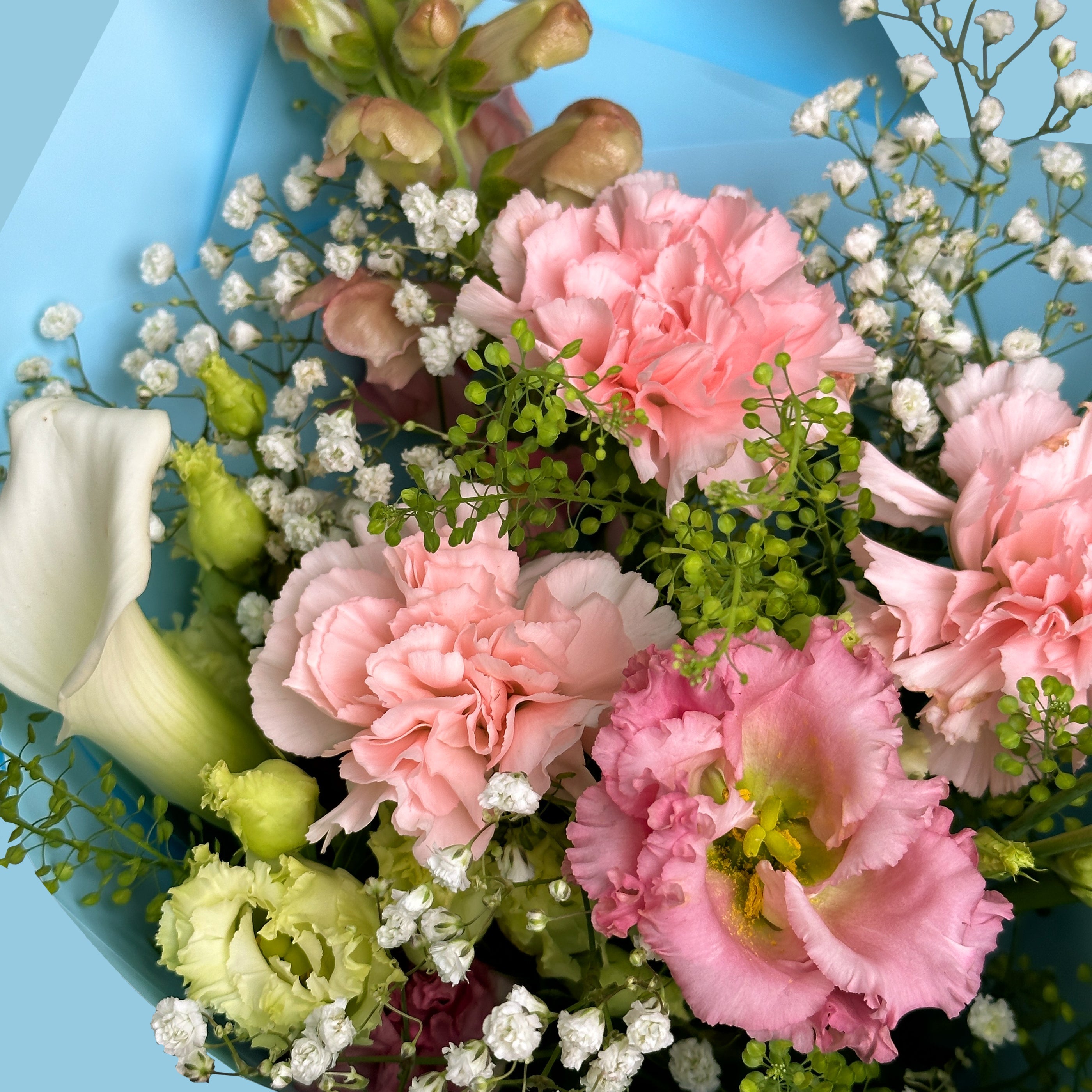 Alice In Wonderland #3